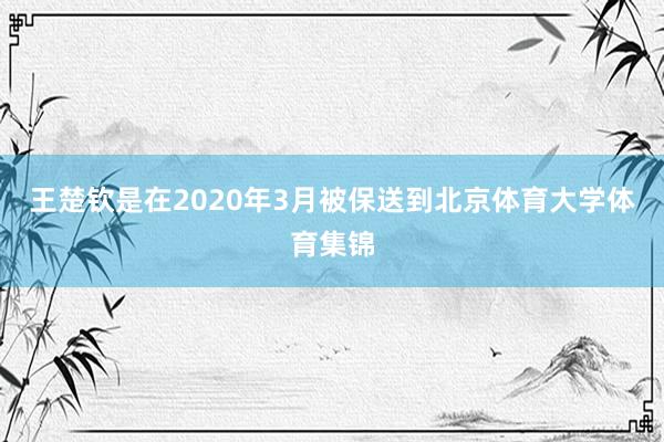 王楚钦是在2020年3月被保送到北京体育大学体育集锦