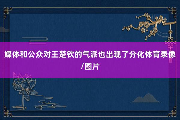 媒体和公众对王楚钦的气派也出现了分化体育录像/图片